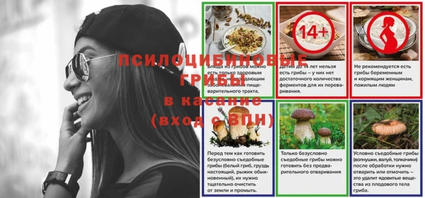 сатива Алексин